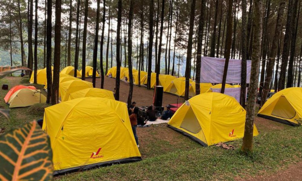 Tempat Camping Di Mojokerto Pemandangan Hutan Pinus Dan Air Terjun